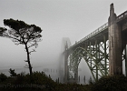 Yaquina Bay Bridge disappears into the fog in Newport. Our only foggy day.